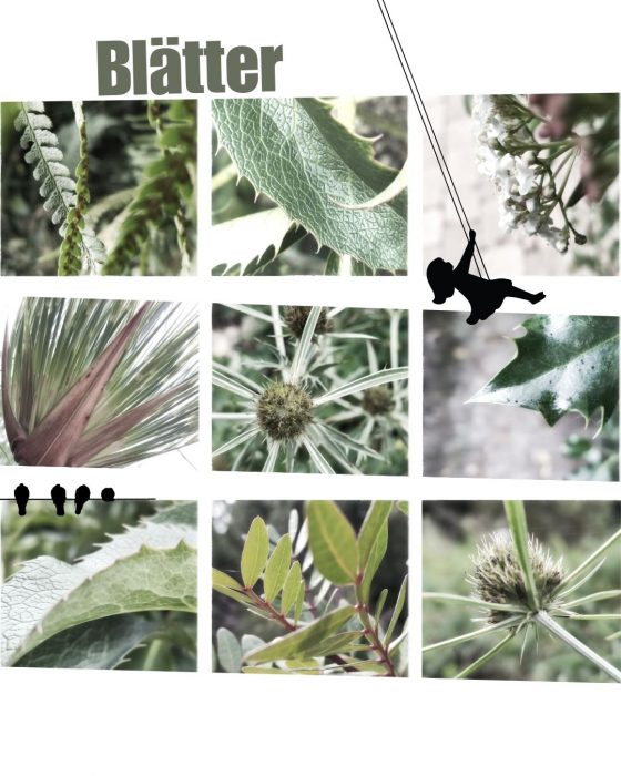 Fotogalerie mit neun Beispielen zur Achtsamkeits-Fotografie: Blätter