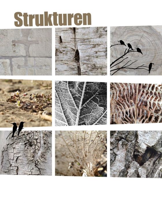 Fotogalerie mit neun Beispielen zur Achtsamkeits-Fotografie: Thema Strukturen